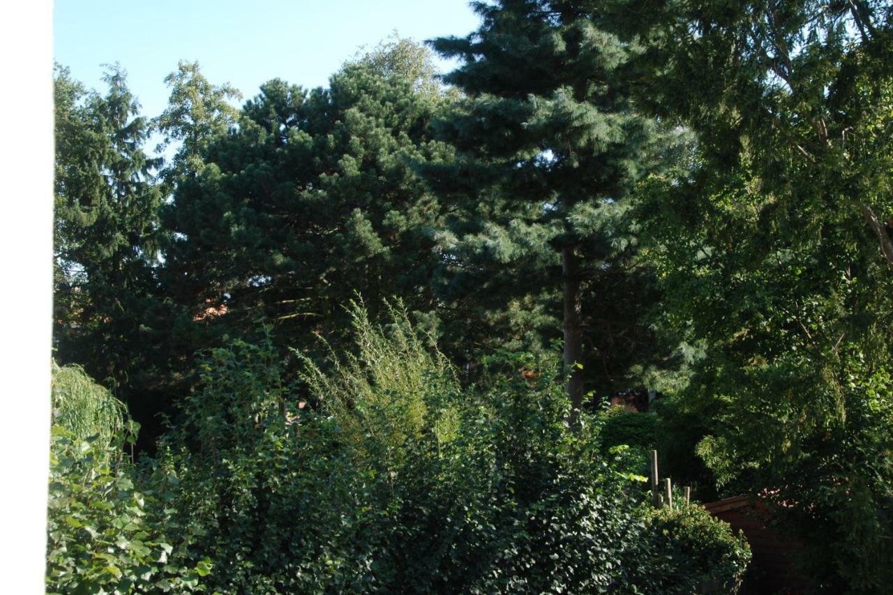 B&B Garden55 Mechelen Zewnętrze zdjęcie